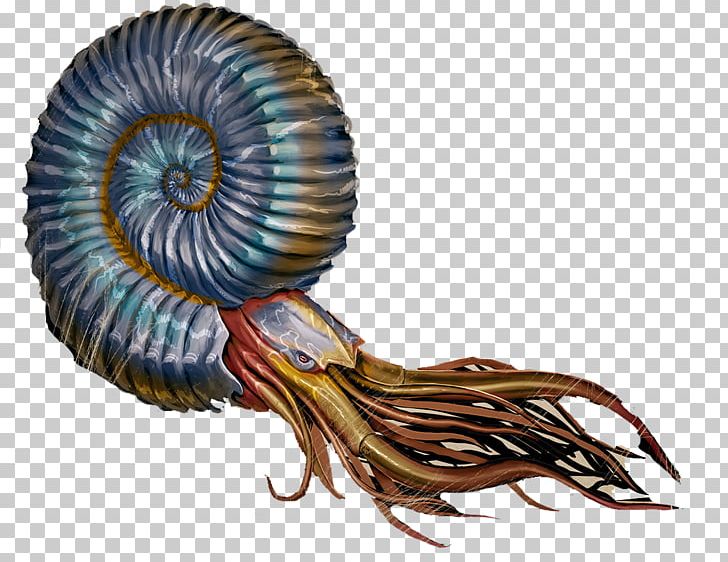 ARK: Survival Evolved Ammonites Ammonitina Nautilidae Xbox One PNG, Clipart, Ammonite, Ammonites, Ammonitina, Ark Survival Evolved, Basilosaurus Free PNG Download