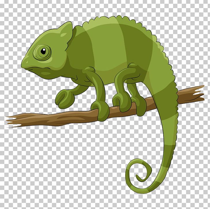 Chameleons Lizard Reptile Cartoon PNG, Clipart, Animal, Animal Illustration, Animals, Art, Branch Free PNG Download