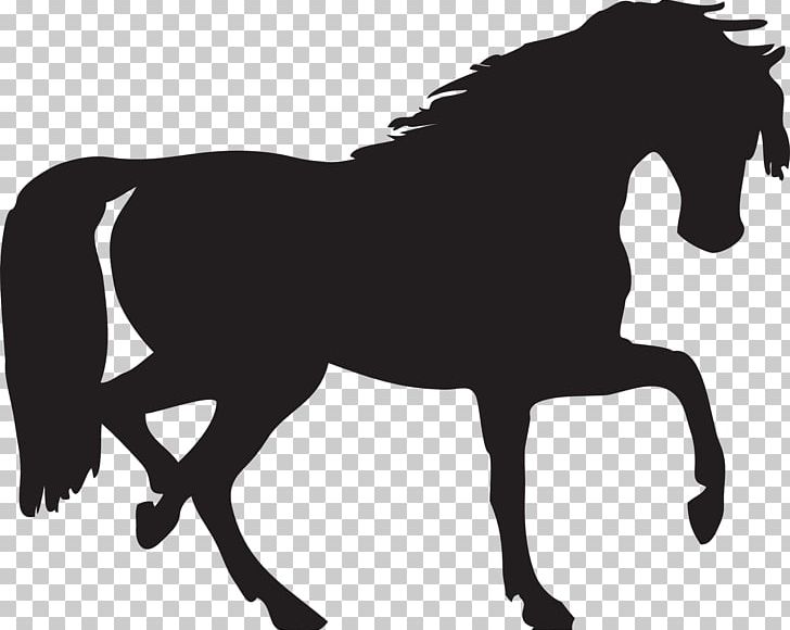 Horse Silhouette PNG, Clipart, Animals, Black And White, Colt, Draft Horse, Drawing Free PNG Download