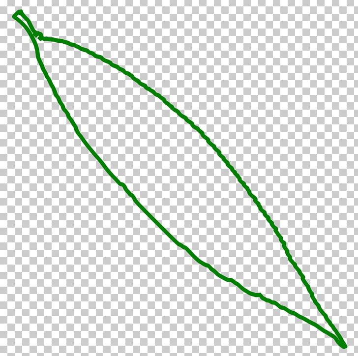 Leaf Line Point Angle PNG, Clipart, Angle, Grass, Green, Leaf, Line Free PNG Download