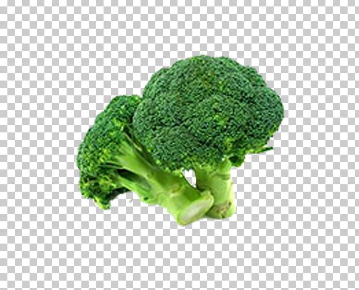 Broccoli Vegetable Food Variety PNG, Clipart, Broccoflower, Broccoli 0 0 3, Broccoli Art, Broccoli Dog, Broccoli Sketch Free PNG Download