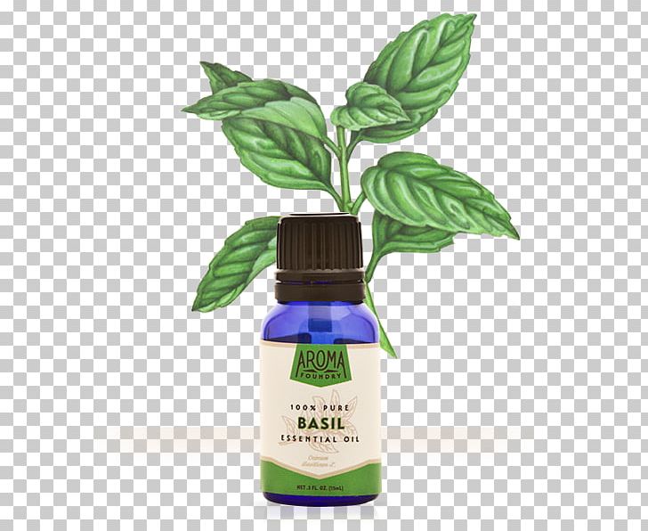 Essential Oil Herb Basil Aroma Compound PNG, Clipart, Aroma Compound, Aromatherapy, Basil, Camphor, Essential Oil Free PNG Download