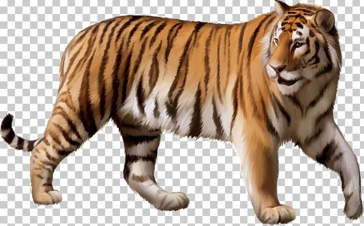 Bengal Tiger Siberian Tiger Felidae White Tiger PNG, Clipart, Animal, Animals, Big Cats, Carnivoran, Cartoon Free PNG Download