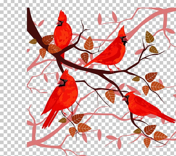 Branch Christmas Tree PNG, Clipart, Animal, Animals, Art, Art Picture, Bird Free PNG Download