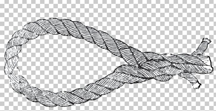Reptile Rope PNG, Clipart, Do You, Do You Know, Hardware Accessory, Knot, Reef Free PNG Download