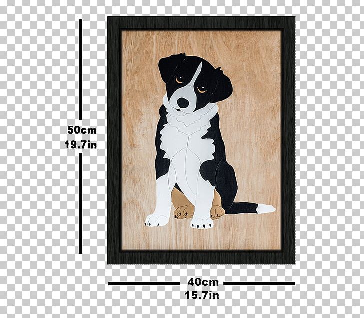 Dog Breed Labrador Retriever Puppy Border Collie PNG, Clipart, Animals, Border Collie, Breed, Carnivoran, Collie Free PNG Download