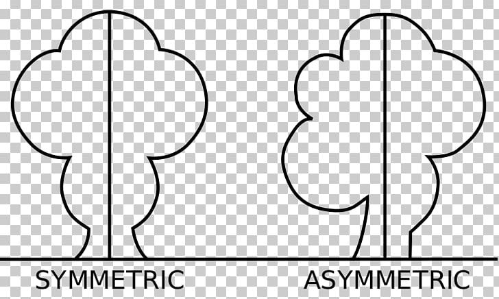 Reflection Symmetry Asymmetry Shape Mathematics PNG, Clipart, Angle, Area, Art, Cartoon, Cpt Symmetry Free PNG Download