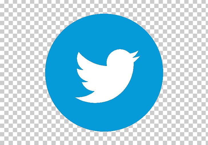 Social Media Digital Media Logo PNG, Clipart, Beak, Bird, Blue, Business, Circle Free PNG Download