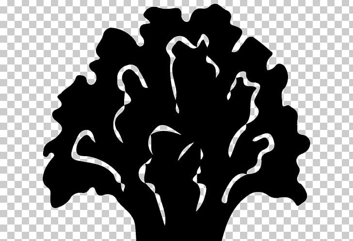 Tree Silhouette Reliability Engineering H&M Font PNG, Clipart, Black And White, Forsythia, Hand, Hydrangea, Leaf Free PNG Download