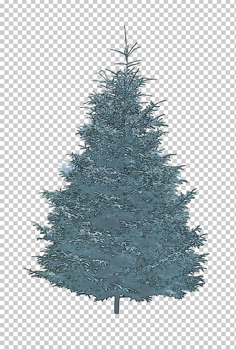 Christmas Tree PNG, Clipart, American Larch, Arizona Cypress, Balsam Fir, Canadian Fir, Christmas Decoration Free PNG Download