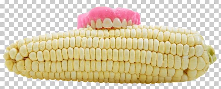 Dentures Human Tooth Corn On The Cob Dentistry PNG, Clipart, Chewing, Cob, Cobb, Commodity, Corn Free PNG Download