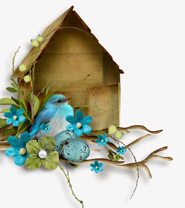 Lovely Bird And Bird House Wood PNG, Clipart, Bird, Bird Clipart, Birds, Blue, Blue Birds Free PNG Download