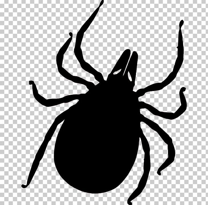 Tick PNG, Clipart, Tick Free PNG Download