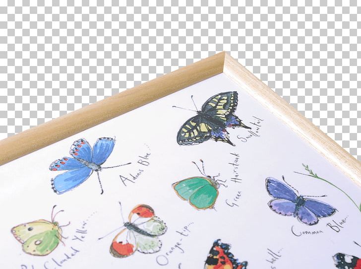 Butterfly Paper Tray PNG, Clipart, Butterfly, Insect, Insects, Invertebrate, Moths And Butterflies Free PNG Download