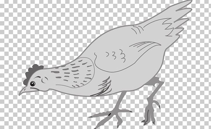 Chicken Poultry Hen Food PNG, Clipart, Art, Artwork, Beak, Bird, Black And White Free PNG Download