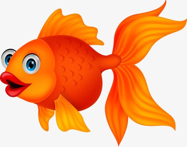Goldfish PNG, Clipart, Animation, Cartoon, Goldfish, Goldfish Clipart, Lovely Free PNG Download