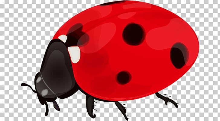 Ladybird Desktop PNG, Clipart, Art, Arthropod, Art Is, Beetle, Cartoon Free PNG Download