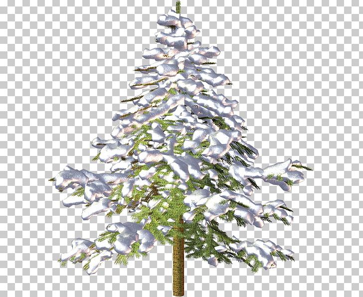 Spruce Christmas Tree Fir Pine PNG, Clipart, 2017, Add, Autumn, Branch, Christmas Decoration Free PNG Download