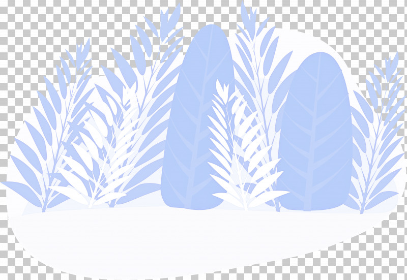 Feather PNG, Clipart, Colorado Spruce, Feather, Leaf, Plant, Tree Free PNG Download