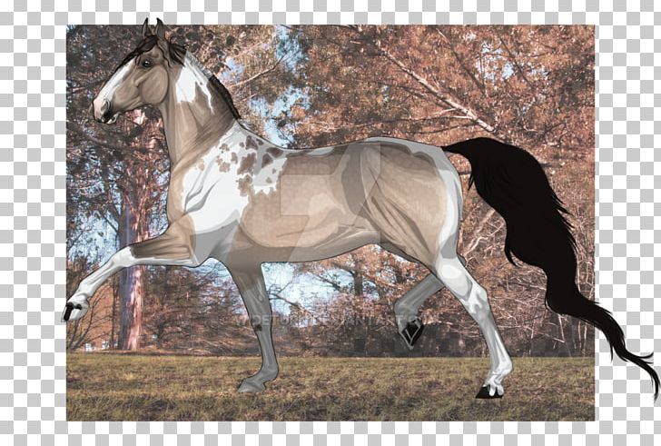Mare Mustang Stallion Rein Halter PNG, Clipart, Bridle, Fauna, Granny Pig, Halter, Horse Free PNG Download