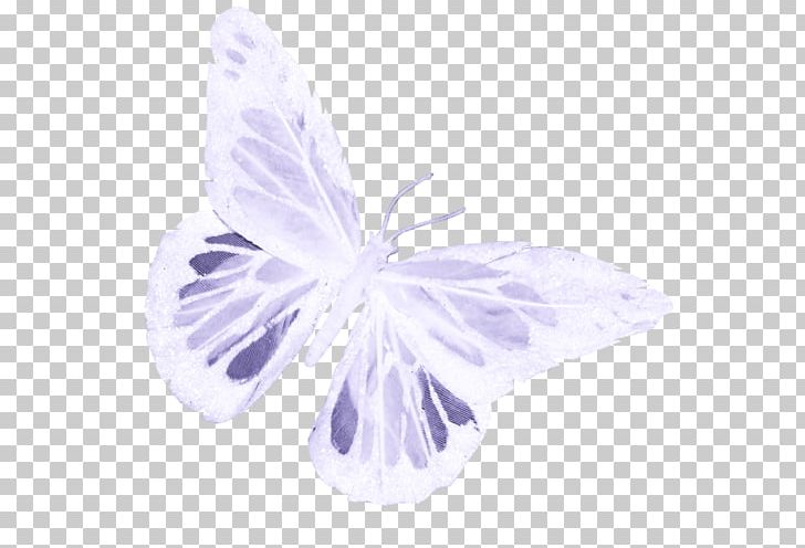 Lilac PNG, Clipart, Beautiful Butterfly, Butterfly, Insect, Invertebrate, Lilac Free PNG Download