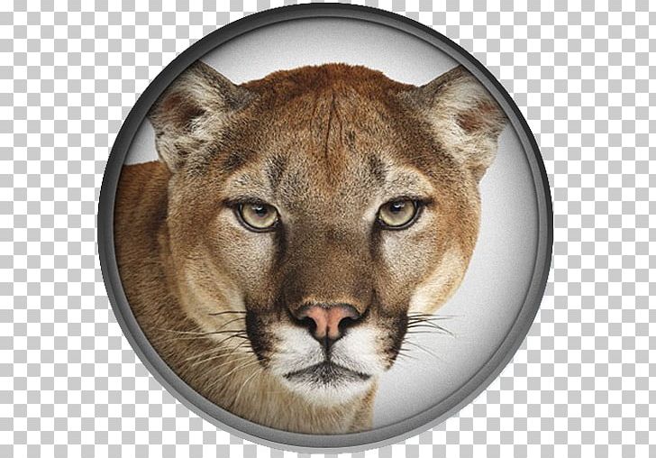 OS X Mountain Lion MacOS Mac OS X Lion Apple PNG, Clipart, Big Cats, Carnivoran, Cat Like Mammal, Compute, Cougar Free PNG Download