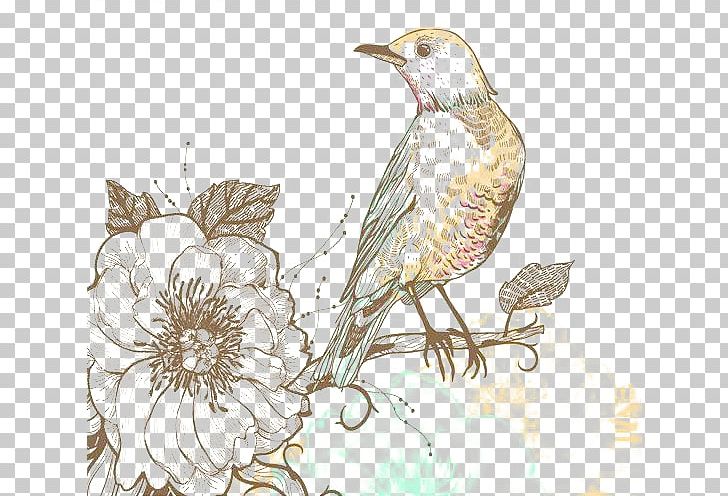 Classical Floral Pattern Background Shading Bird S PNG, Clipart, Beak, Bird, Birds, Branch, Cuculiformes Free PNG Download