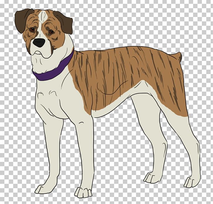 Dog Breed Non-sporting Group Companion Dog Breed Group (dog) PNG, Clipart, Animals, Bred Pit, Breed, Breed Group Dog, Carnivoran Free PNG Download