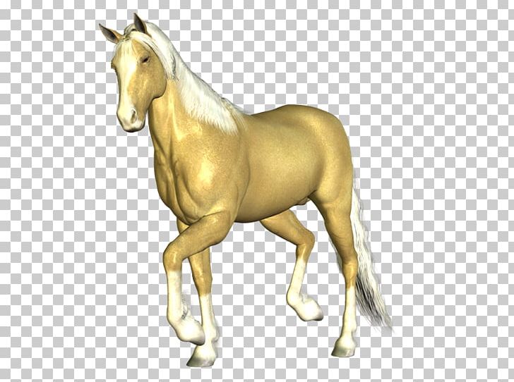 Mustang Mane Stallion Colt Foal PNG, Clipart, American Paint Horse, Animal Figure, Bridle, Cabal, Colt Free PNG Download
