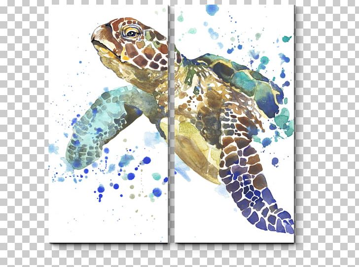 Sea Turtles (Under The Sea Watercolor Painting PNG, Clipart, Animals, Canvas, Emydidae, Fauna, Loggerhead Sea Turtle Free PNG Download