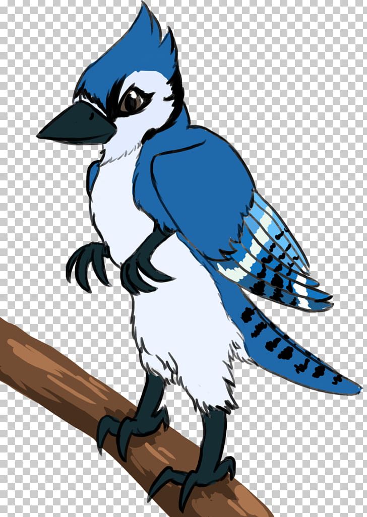 Blue Jay Art Feather Character PNG, Clipart, Animals, Art, Artwork, Beak, Bird Free PNG Download