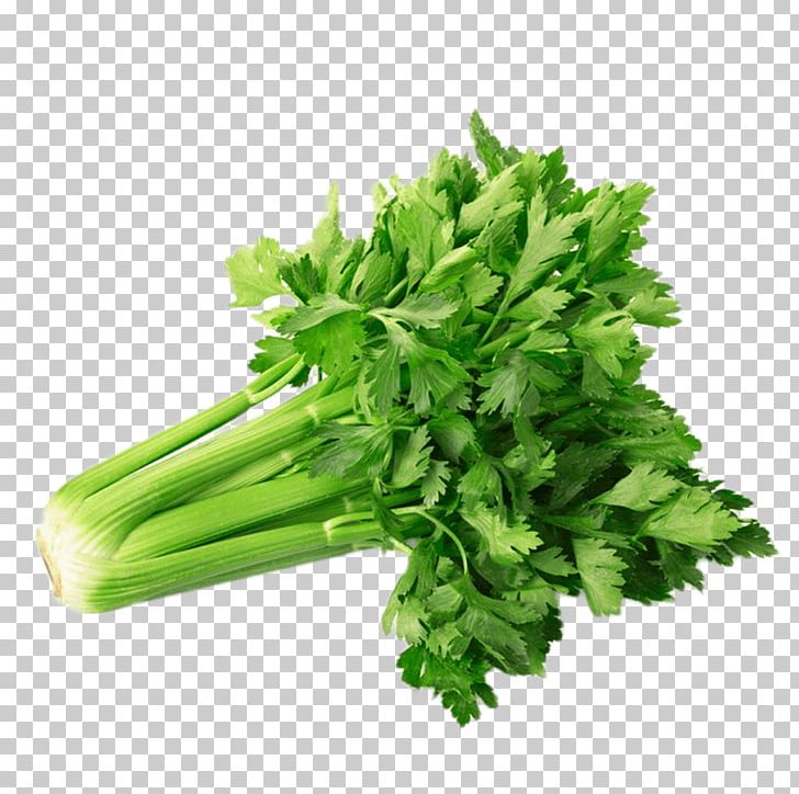 Celery Powder Vegetable Juice Organic Food PNG, Clipart, Apiaceae, Carrot, Cauliflower, Celery, Celery Powder Free PNG Download