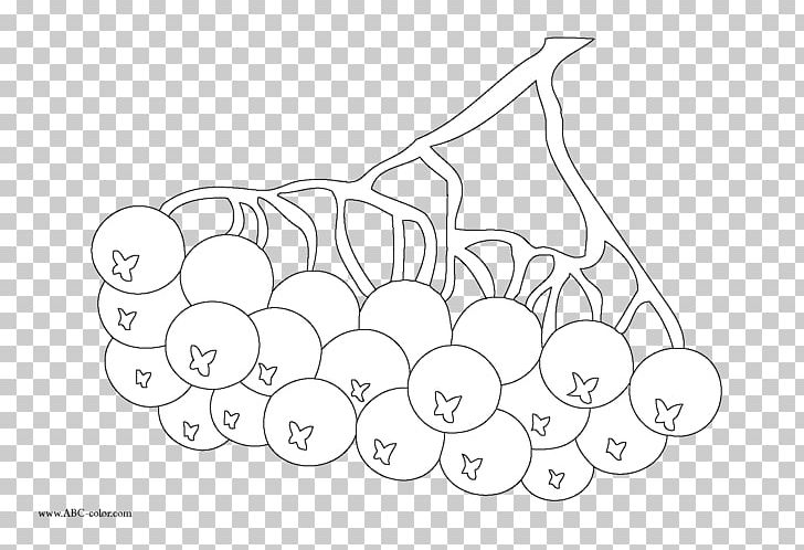 Coloring Book Line Art Sketch PNG, Clipart, Angle, Area, Artwork, Black And White, Cartoon Free PNG Download