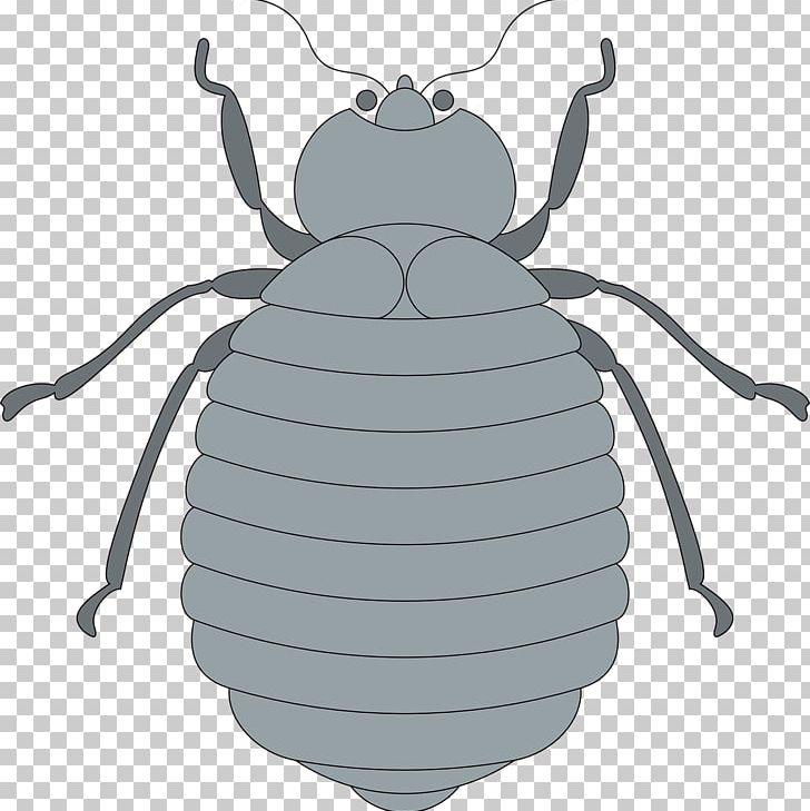Computer Icons PNG, Clipart, Art, Arthropod, Bee, Beetle, Black And White Free PNG Download