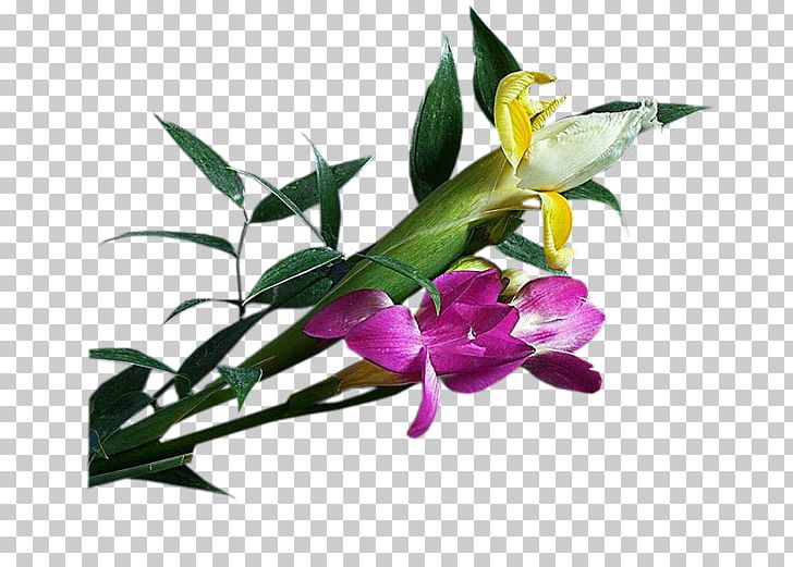 Floral Design Cut Flowers Oyster Plant Stem PNG, Clipart, Cattleya, Cattleya Orchids, Cut Flowers, Dendrobium, Flora Free PNG Download