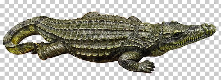 Nile Crocodile Alligator Ophidiophobia PNG, Clipart, Alligator, Animal, Animal Figure, Crocodile, Crocodiles Free PNG Download