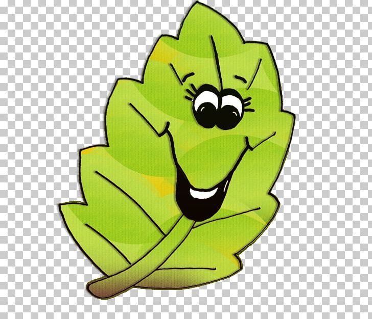 Tree Frog YouTube Yeah! PNG, Clipart, Amphibian, Fictional Character, Flowering Plant, Food, Frog Free PNG Download