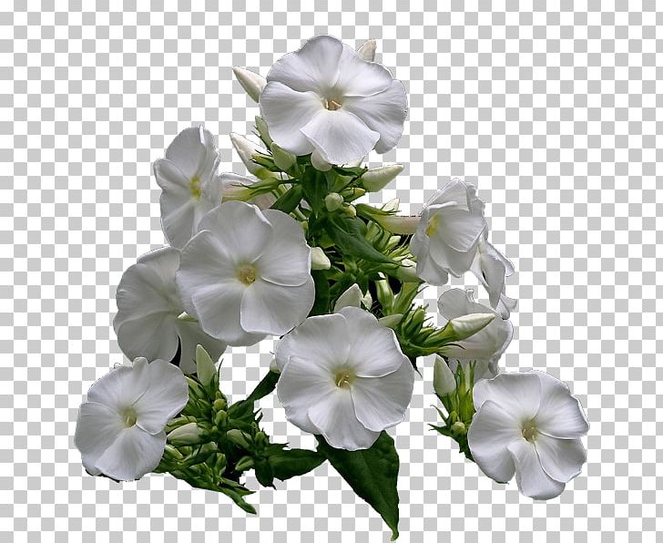 Westborough Garden Club Floral Design Association PNG, Clipart, Association, Community, Cut Flowers, Floral Design, Flower Free PNG Download