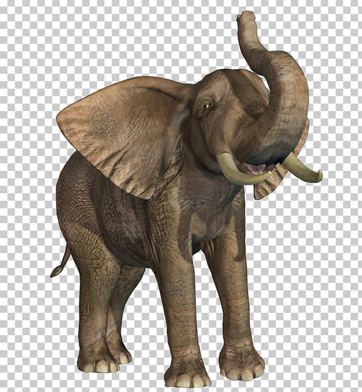 African Elephant Indian Elephant Wildlife PNG, Clipart, African, African Animals, Animal, Animals, Elephant Free PNG Download