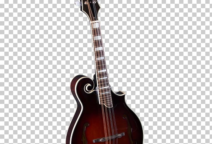 Bass Guitar Acoustic-electric Guitar Acoustic Guitar Mandolin PNG, Clipart, Acousticelectric Guitar, Acoustic Guitar, Artist, Double Bass, Guitar Accessory Free PNG Download
