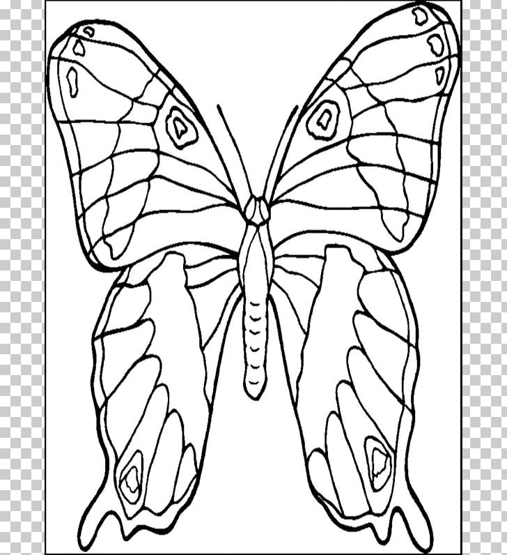 Butterfly Coloring Book Animals That Hibernate Child Adult PNG, Clipart, Adult, Animal, Animals That Hibernate, Black And White, Brush Footed Butterfly Free PNG Download