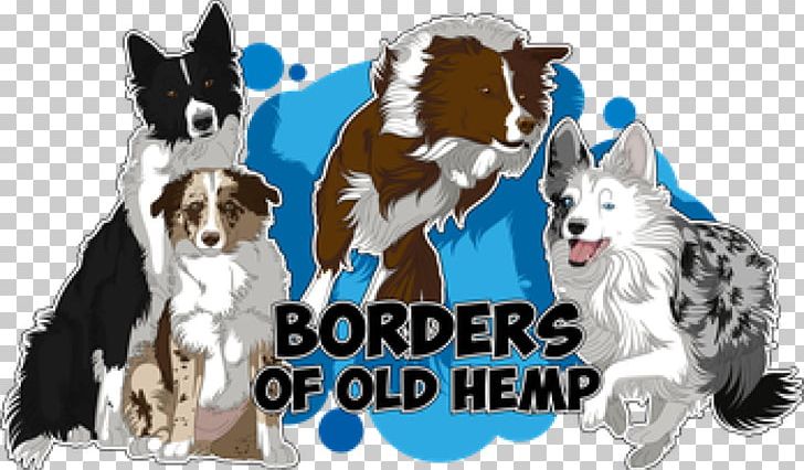 Dog Breed Border Collie Rough Collie Old Hemp PNG, Clipart, Animal Breeding, Border Collie, Breed, Carnivoran, Dog Free PNG Download