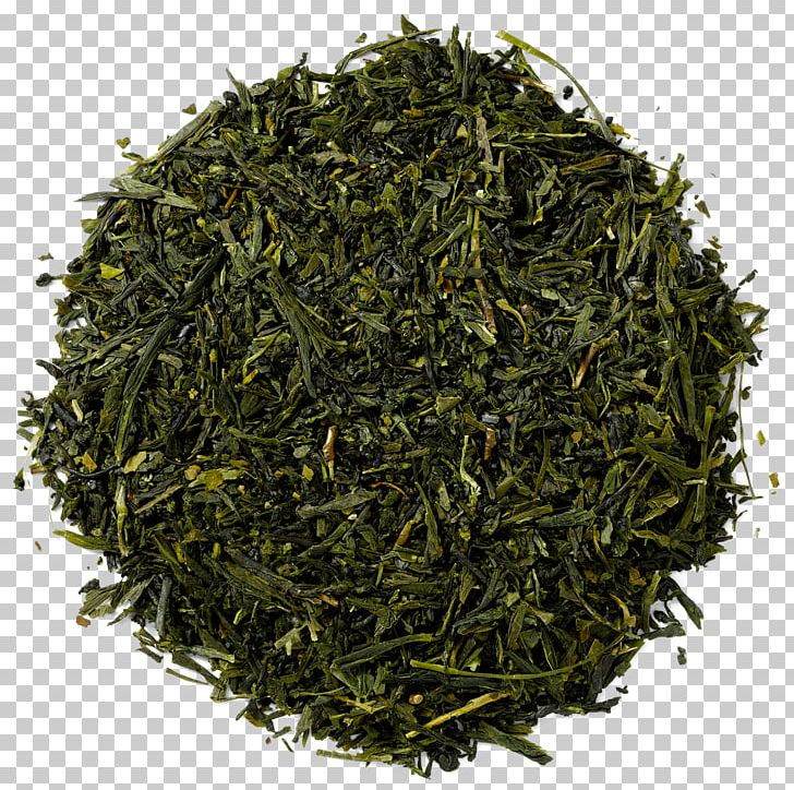 Gyokuro Green Tea Masala Chai Nilgiri Tea PNG, Clipart, Assam Tea, Bai Mudan, Bancha, Biluochun, Black Tea Free PNG Download