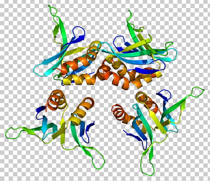 SUB1 Fusion Protein Gene Nucleolin PNG, Clipart, Area, Artwork, Bcl2, Bcl3, Coactivator Free PNG Download