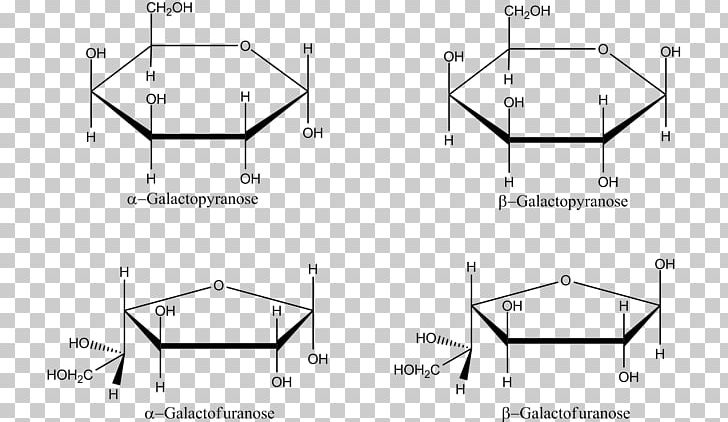 Galactose L-Glucose Haworth Projection Carbohydrate PNG, Clipart, Angle, Area, Atom, Black And White, Carbohydrate Free PNG Download