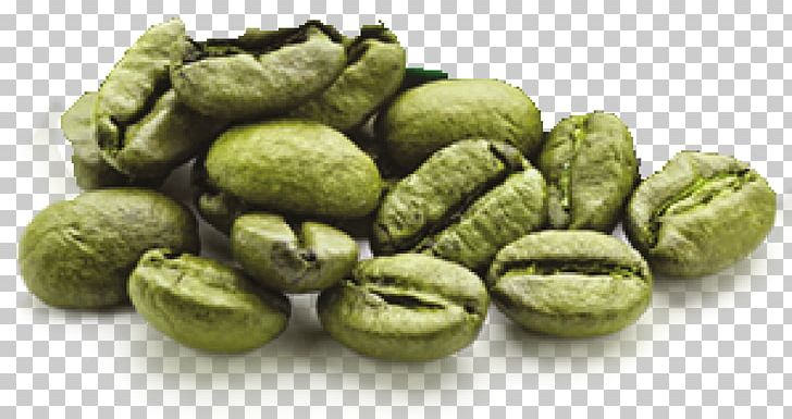 Green Coffee Extract Energy Drink Coffee Bean PNG, Clipart, Arabica Coffee, Bean, Chlorogenic Acid, Coffee, Coffee Bean Free PNG Download