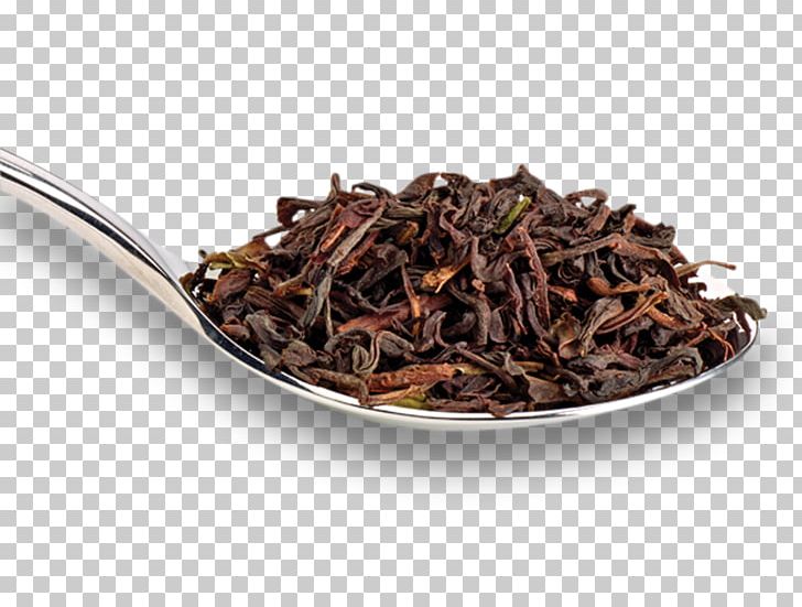 Nilgiri Tea Lapsang Souchong Dianhong Twinings PNG, Clipart, Assam Tea, Bancha, Ceylon Tea, Da Hong Pao, Darjeeling Tea Free PNG Download
