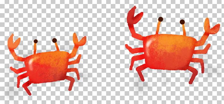 Crabe Euclidean PNG, Clipart, Animals, Beach, Braised, Braising, Cangrejo Free PNG Download