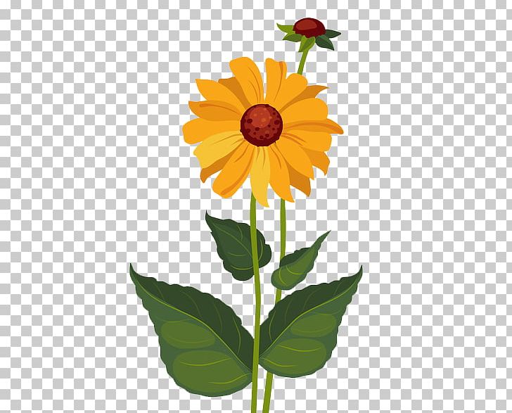 Drawing Illustration PNG, Clipart, Art, Daffodil, Dahlia, Daisy Family, Floral Free PNG Download