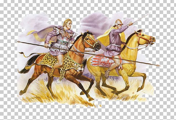 Macedonian Phalanx Battle Of Gaugamela Companion Cavalry PNG, Clipart, Alexander The Great, Ancient Macedonian Army, Ancient Macedonians, Battle, Cavalry Free PNG Download